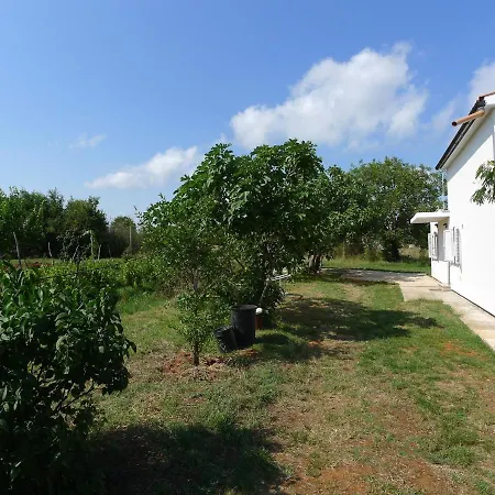 Modern For 4 Persons With 3500 M2 Private Garden Vila *